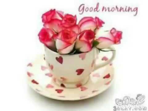 جرحي عمل بكبودي 