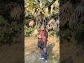 यहाँ कोई नास्तिक नहीं है #anantsri #shorts #athiest