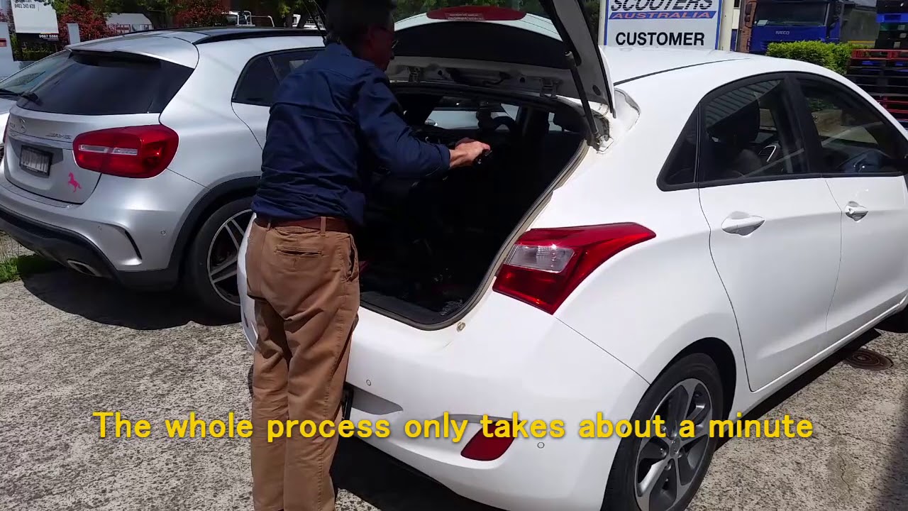 Monarch Buzz Demonstration