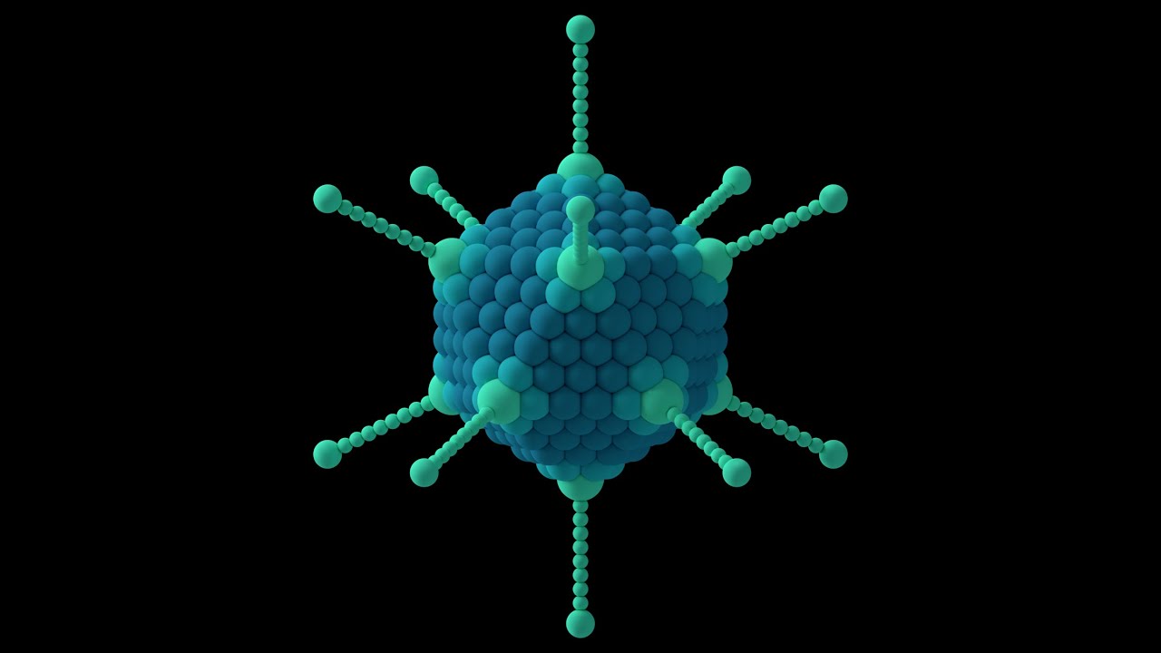 Virus Lectures #3