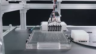 EXCL Compact Gantry System