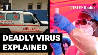 Celebrity Ebola Outbreak: Infectious Disease Experts Explain The Global Risk Net Worth