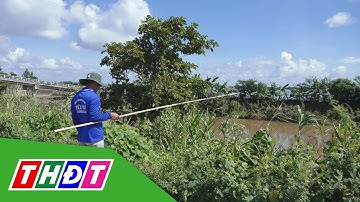 Câu ếch đồng mùa nước nổi | THDT