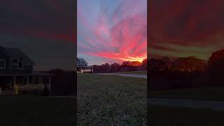 Surreal Farm Sunset!🌅      #sunset #farmhouse #country #wow #homestead #christmaslights