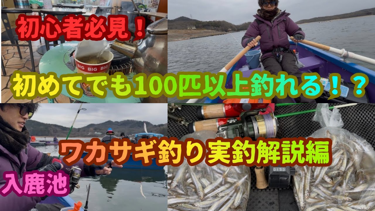 【初めてのワカサギ釣り】初めてでも100匹以上ワカサギが釣れる！？釣り方解説動画