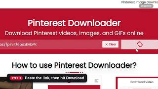 How to Download Pinterest Videos, Images & GIFs with SSSPIN screenshot 3