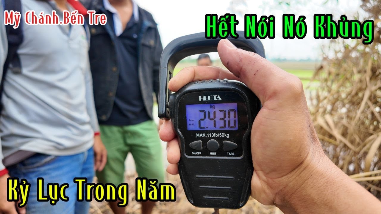 Hết Nói Con Rắn Nó To Như Con Trăn Vậy | Mười Thương Săn Bắt