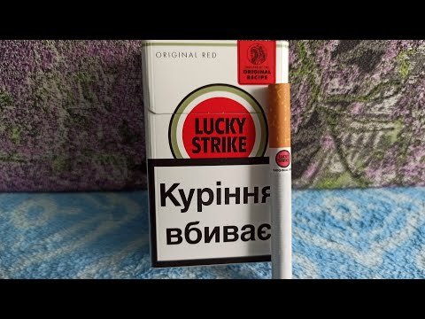 Video: Զուգված «Lucky Strike» (18 լուսանկար). Փշոտ զուգվածի բազմազանության նկարագրություն, օգտագործումը լանդշաֆտային ձևավորման մեջ: «Lucky Strike» զուգվածի բարձրությունը, տնկումը, խնամքը 