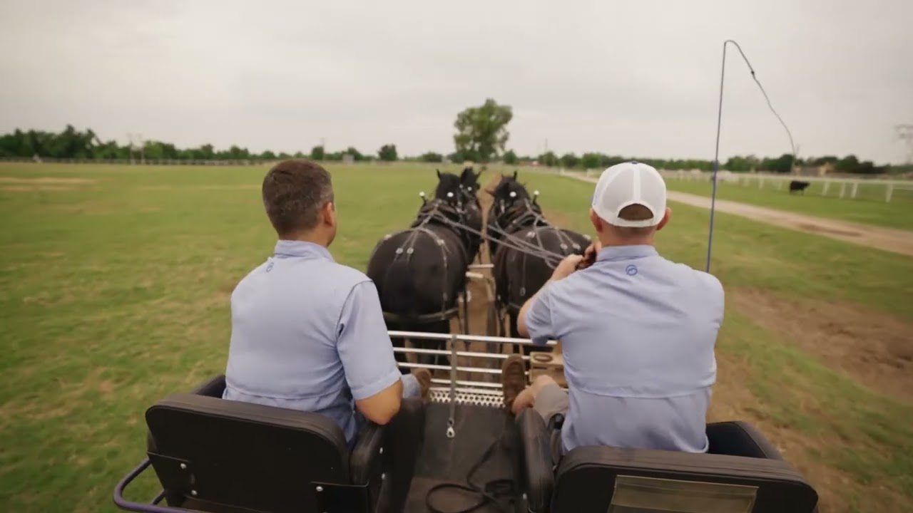 The Making of A Masterpiece Work Horses of the Red Carpet