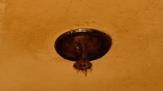 DISGUSTING CEILING TILE! | Deep Cleaning Ceiling Tiles Like Magic