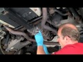 Changing Fluid in BMW & MINI Rear Differential - Under Car Fluid Changes