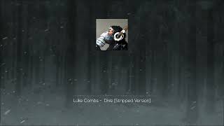 Luke Combs - Dive [Stripped Version]