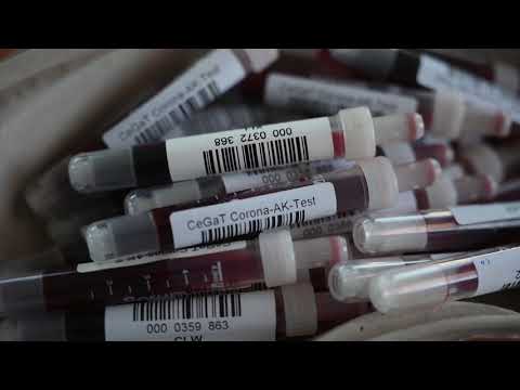 La pandemia se acerca a los 24,5 millones de casos