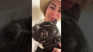 SURPRISE! 🎉WE GOT A FOSTER DOG!!! 🫣🐶🫶🏼🦛 #dailyhippo roadogsrescue