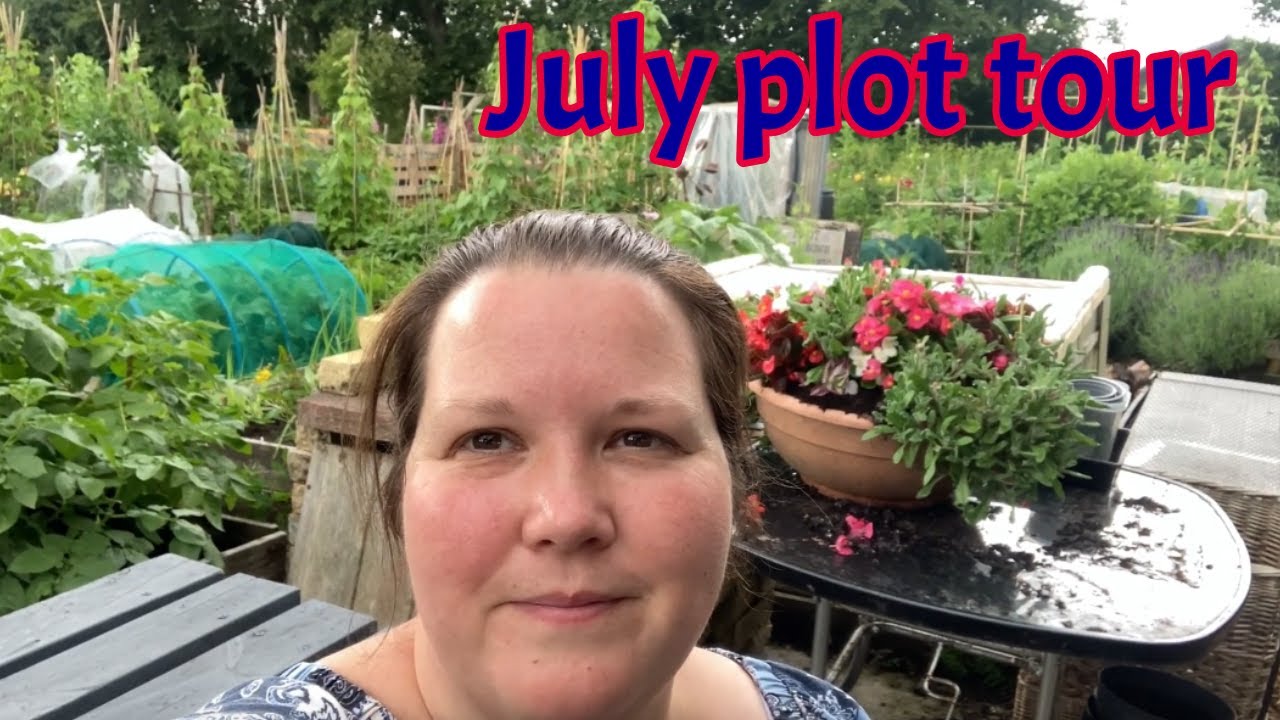 Take a look at our 500 square metre established vegetable garden in July 