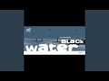 A Hundred Birds – Black Water – Vinyl (12