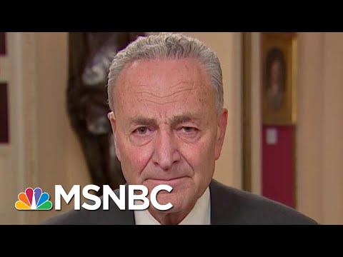 Chuck Schumer: Republicans Were Fixated On Schiff During Powerful Close | The 11th Hour | MSNBC