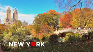 [4K]🇺🇸Прогулка по Нью-Йорку🍁: Наслаждайтесь осенней листвой в Центральном парке в солнечную субботу🍂