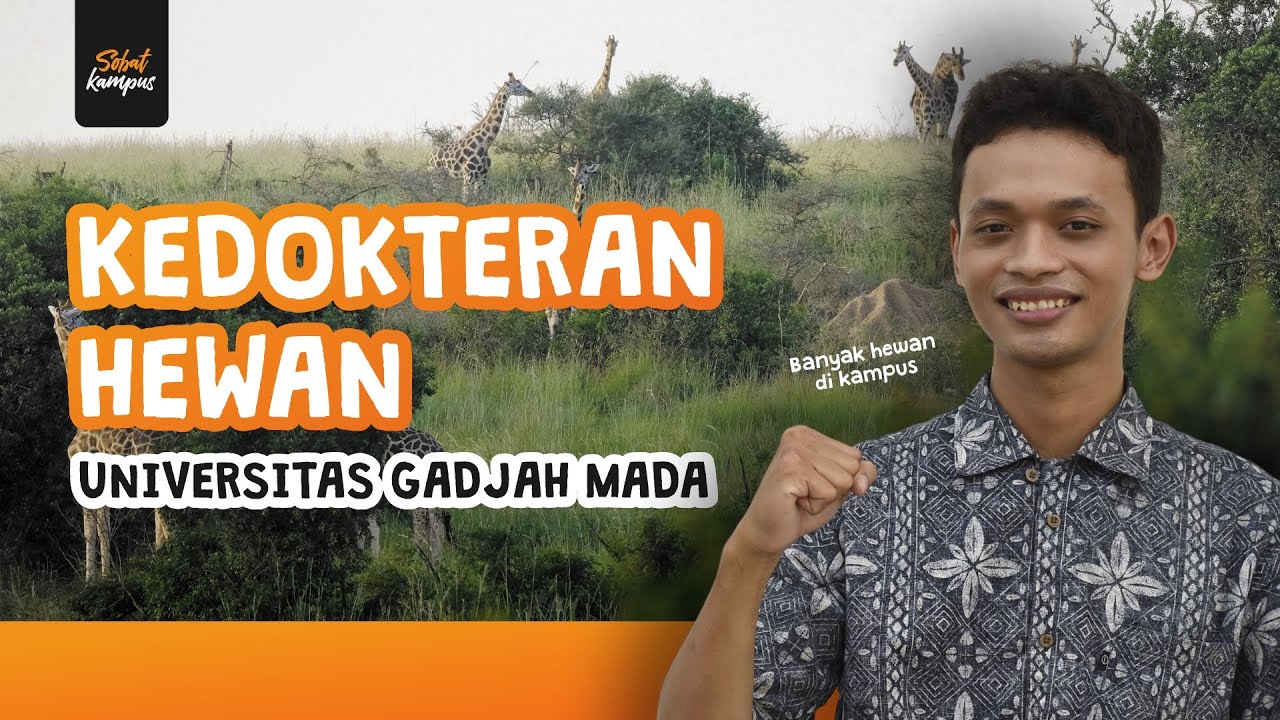 Serunya Kuliah di Kedokteran Hewan UGM