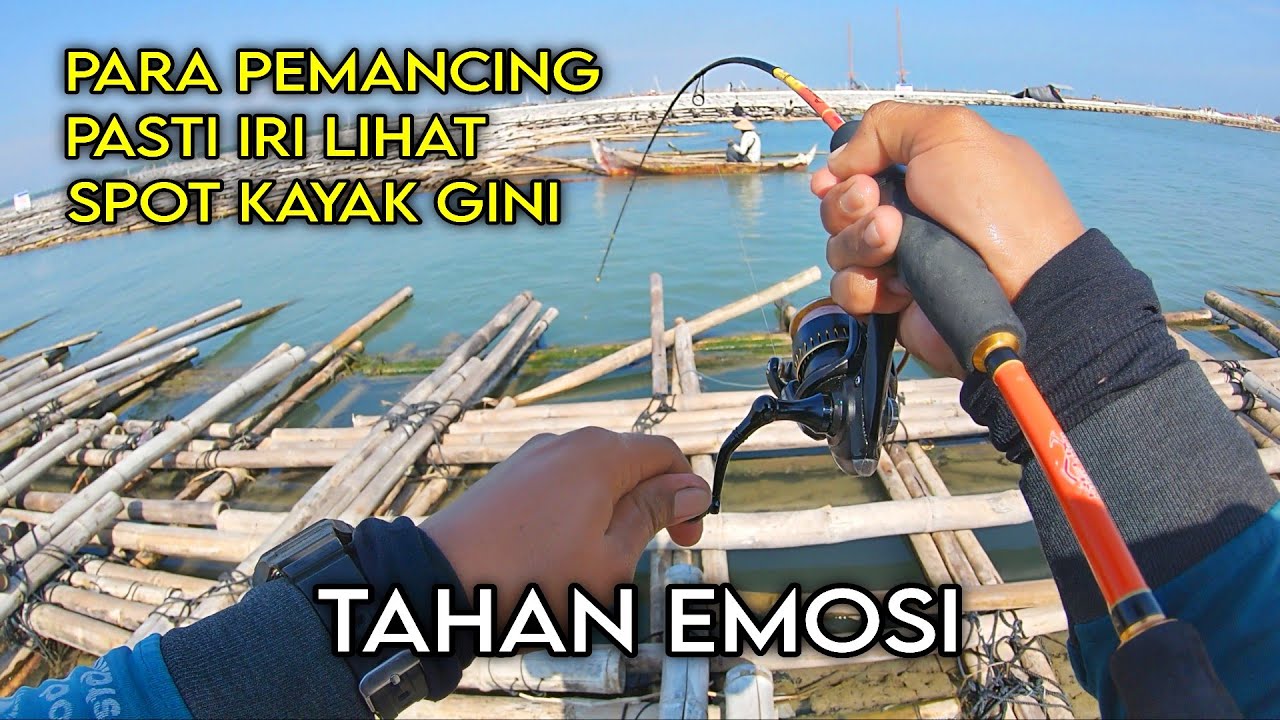 PEMANCING PASTI NGILER LIHAT SPOT INI‼️SIAPA SANGKA DI BAWAH BAMBU INI JADI SARANG RIBUAN KERAPU