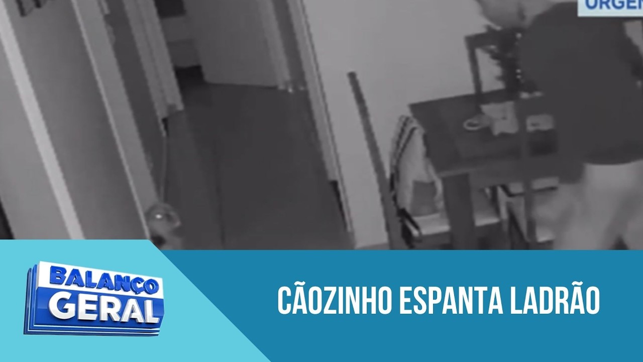 Cãozinho espanta ladrão que escalou prédio e invadiu apartamento em São Paulo | 'Balanço Geral'