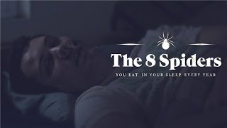 The 8 Spiders You Eat In Your Sleep Every Year | Extremely Decent by Extremely Decent 98,225 views 9 years ago 3 minutes, 10 seconds