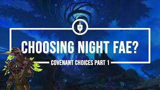 IS NIGHT FAE THE ONE? | Guardian Druid | Shadowlands