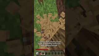 Making Every Subscriber their Own Minecraft World #minecraft #minecraftshorts #gaming #challenge
