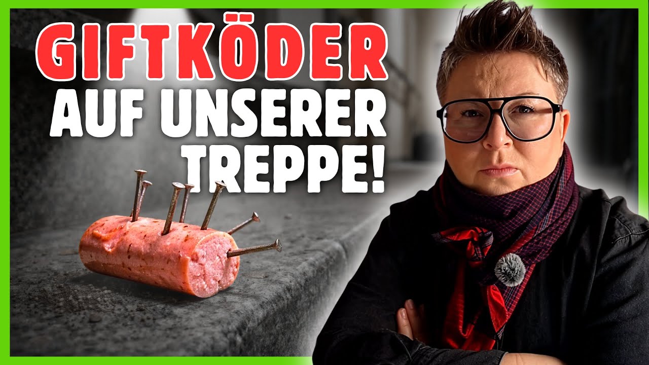 Hund frisst Giftköder (fast) und ich bin WÜTEND I Das MUSST DU tun bei Giftköder Fund