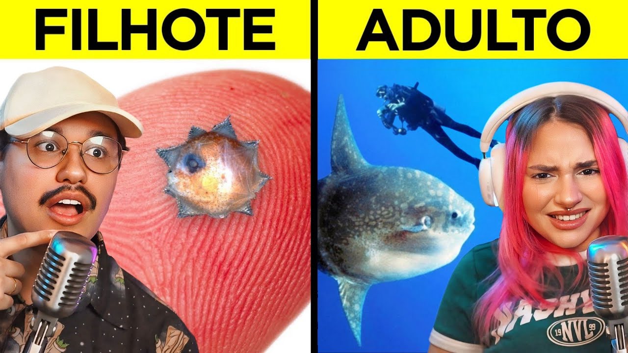 Os filhotes mais estranhos do planeta
