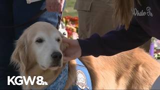 Lutheran Church Charities bring comfort dogs to Bend after school shooting
