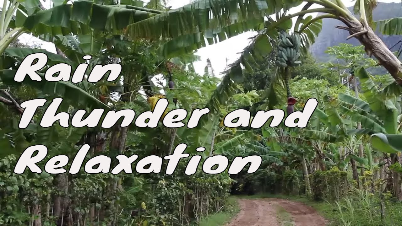 Rain Thunder and Relaxation - YouTube