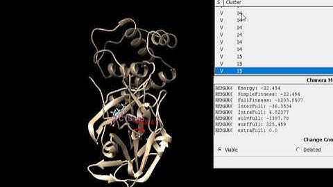 Docking poses with UCSF Chimera