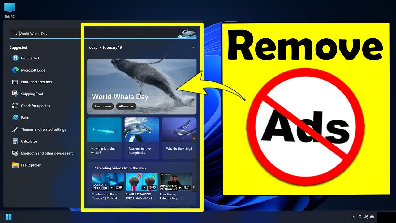 How to remove ads from search box in windows 11 | Disable search ...