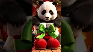 Panda Wraps Santa’s Boots in Ribbons Holiday Prank | Nebula Shots