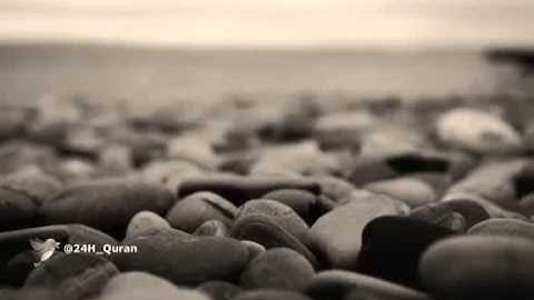 سورة الملك ـ محمد النقيب