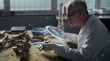 Senior archaeologist works with fossil remains in modern archaeological lab