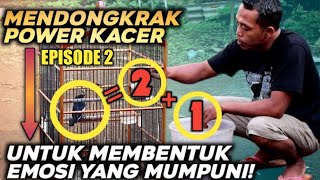 Cara Membentuk Power Kacer agar Memiliki Emosi yang Mumpuni‼️(2/2) ➡️ IBI BK