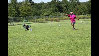 Switch and Go with Instructor Lisa Schmit
