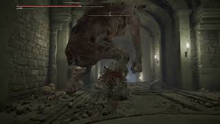 How To Get Through Giant Conquering Hero's Grave | Elden Ring