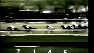 Angle Light - 1973 Wood Memorial Stakes by Vintage North American Horse Racing 37,069 views 12 years ago 2 minutes, 1 second