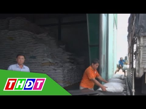 Video Xuất khẩu gạo có thể cán mốc 6 triệu tấn | THDT - youtube