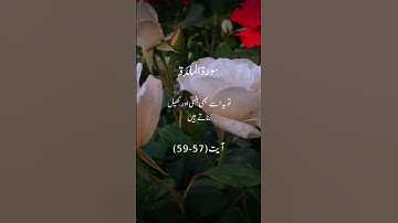 Surah Al-Ma'idah ( سورة المائدة)