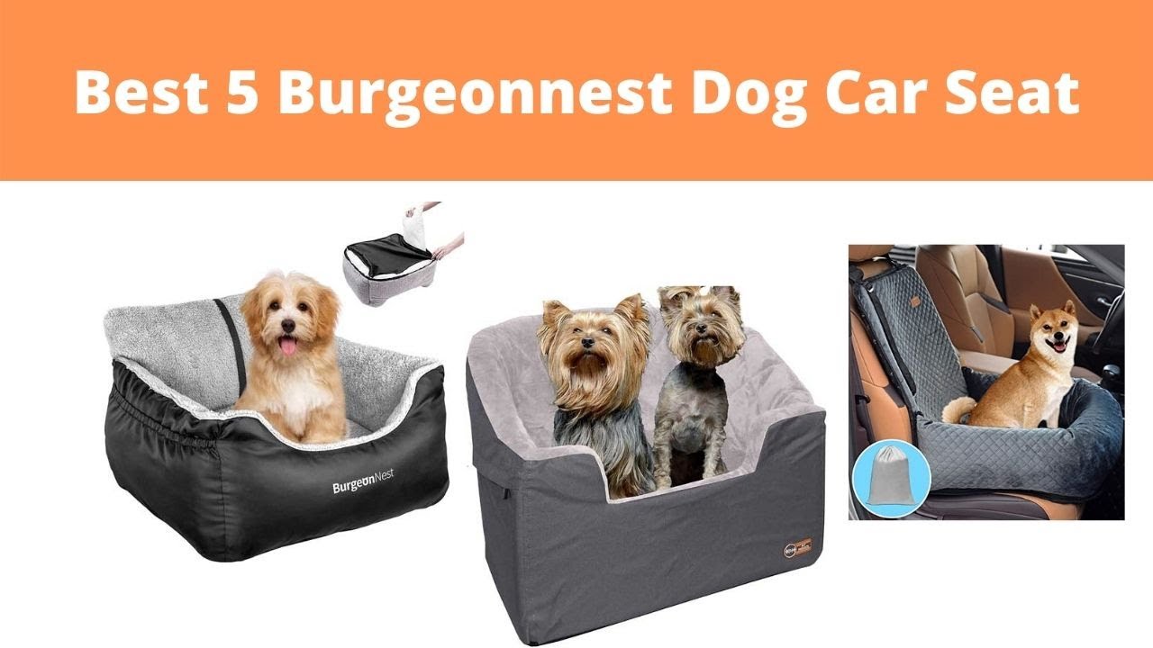 Best 5 Burgeon Nest Dog Car Seat Reviews Burgeonnest YouTube