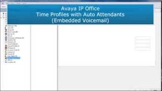 Avaya IP Office Time Profiles screenshot 5