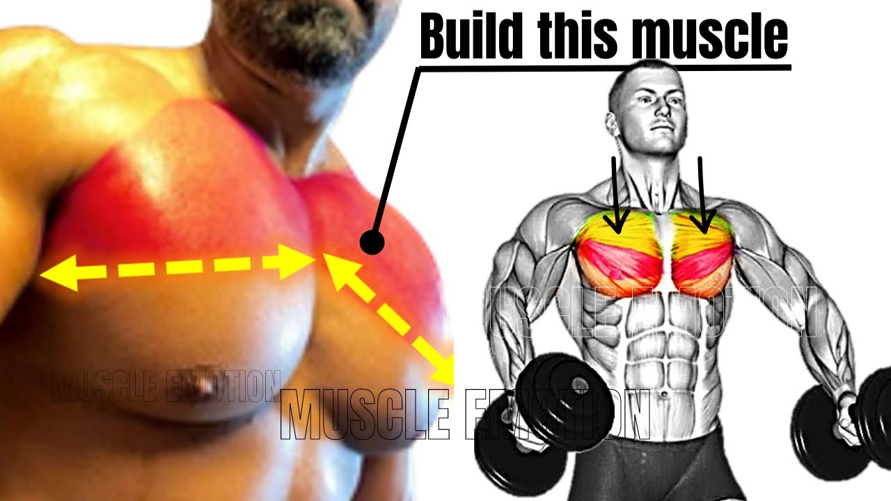 5 UPPER CHEST WORKOUT THAT YOU NEVER DID AT GYM / Meilleurs exs ...