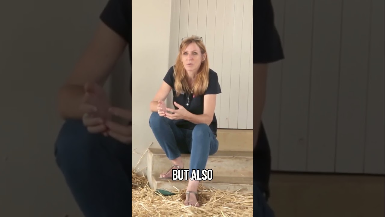 The Crisis of Rhino Poaching - Curious?: Natural World