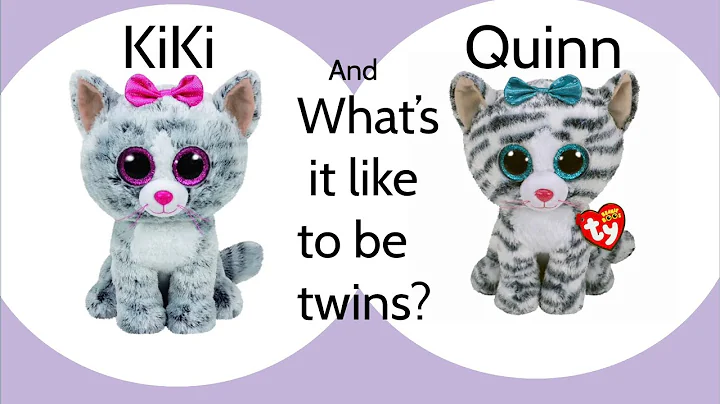 KiKi and Quinn- Whats It Like To Be Twins | Beanie...