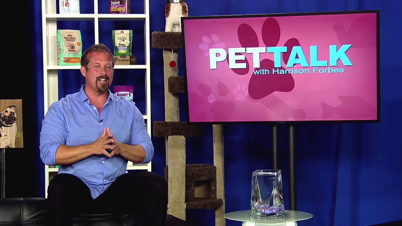 Pet Talk Sizzle Reel - YouTube