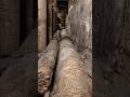 Ancient Doors Recently Opened—What Was Inside Shocked Archaeologists Mp3 Song